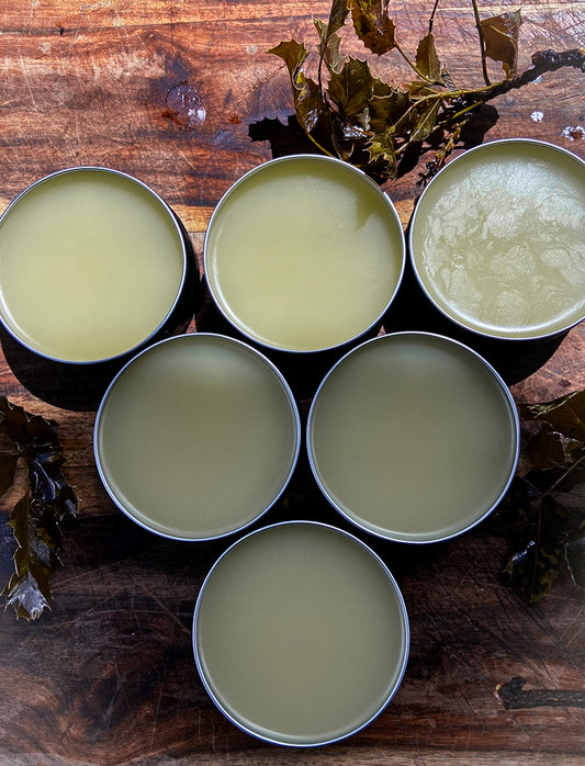 Oregon Grape Herbal Salve