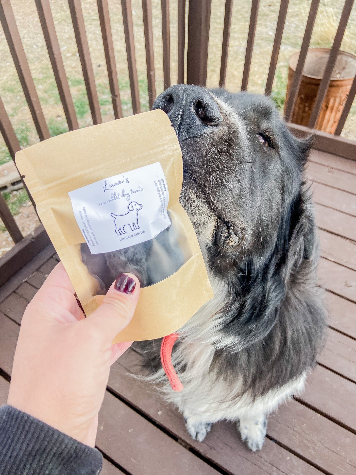 Luna’s Raw Rabbit Dog Treats